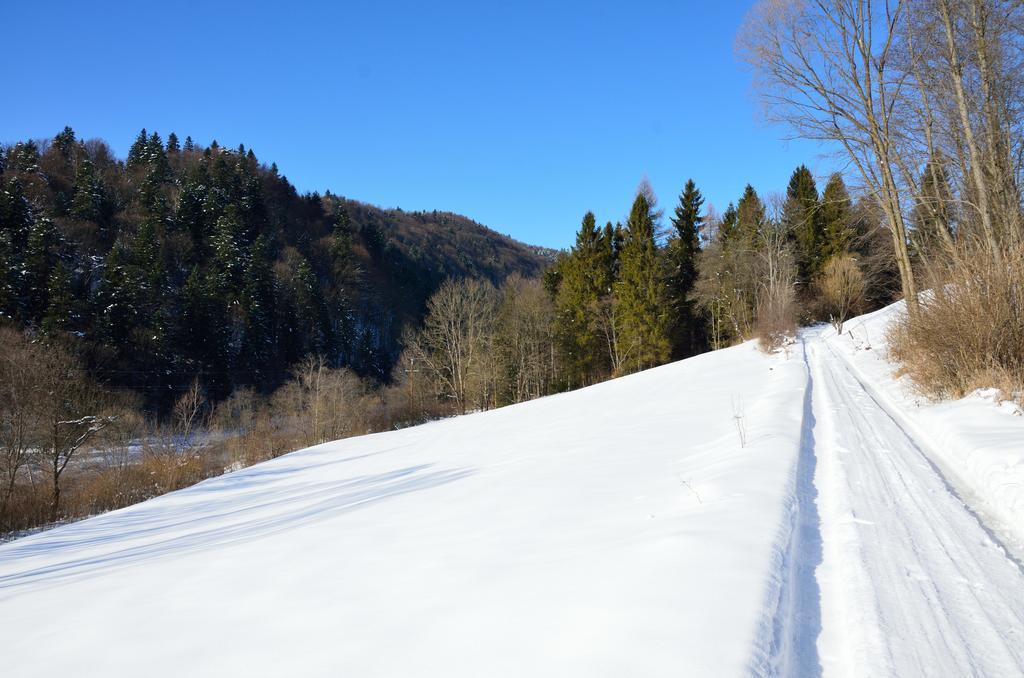 Schronisko Gorskie Nad Smolnikiem Smolnik  Esterno foto