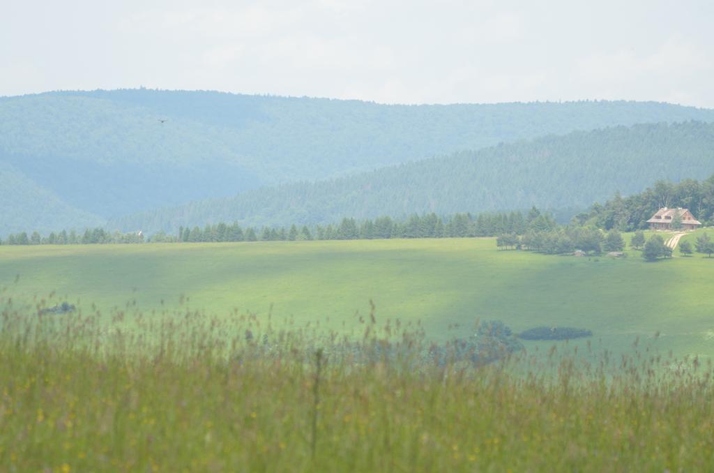 Schronisko Gorskie Nad Smolnikiem Smolnik  Esterno foto